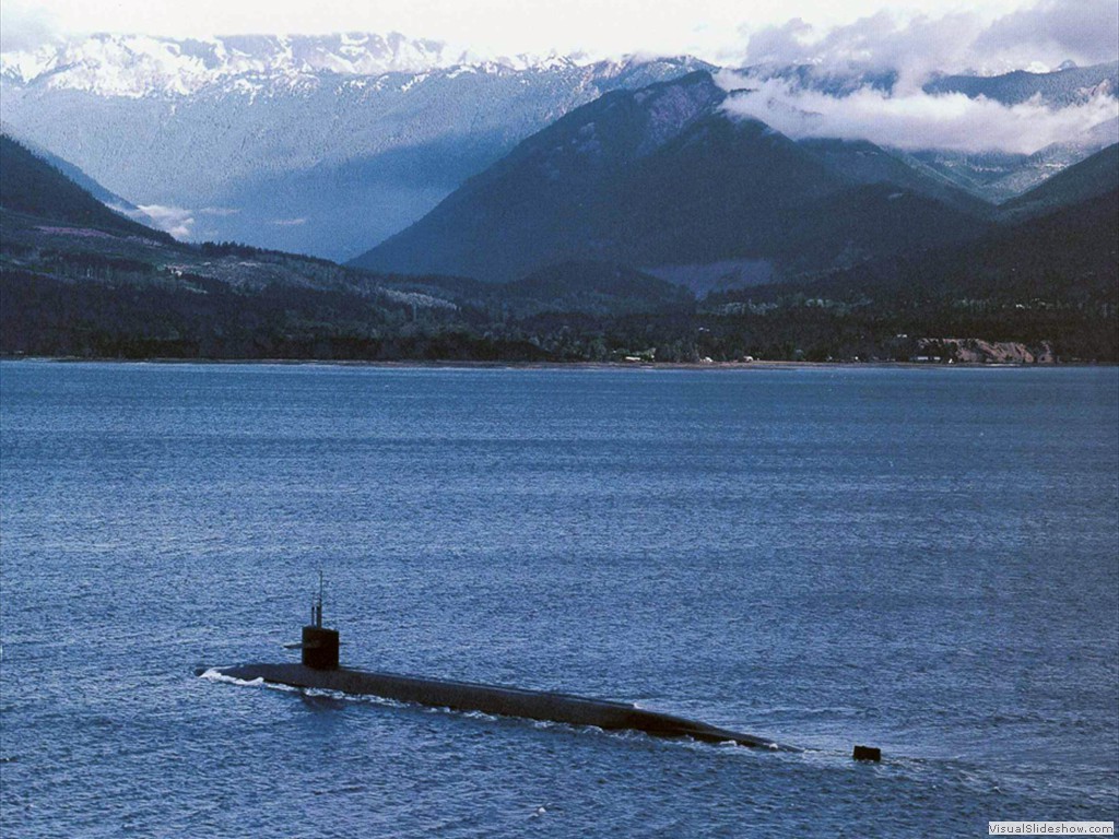 USS Nevada (SSBN-733)